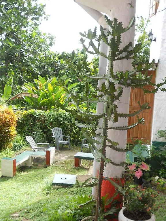 Drapers San Guest House Port Antonio