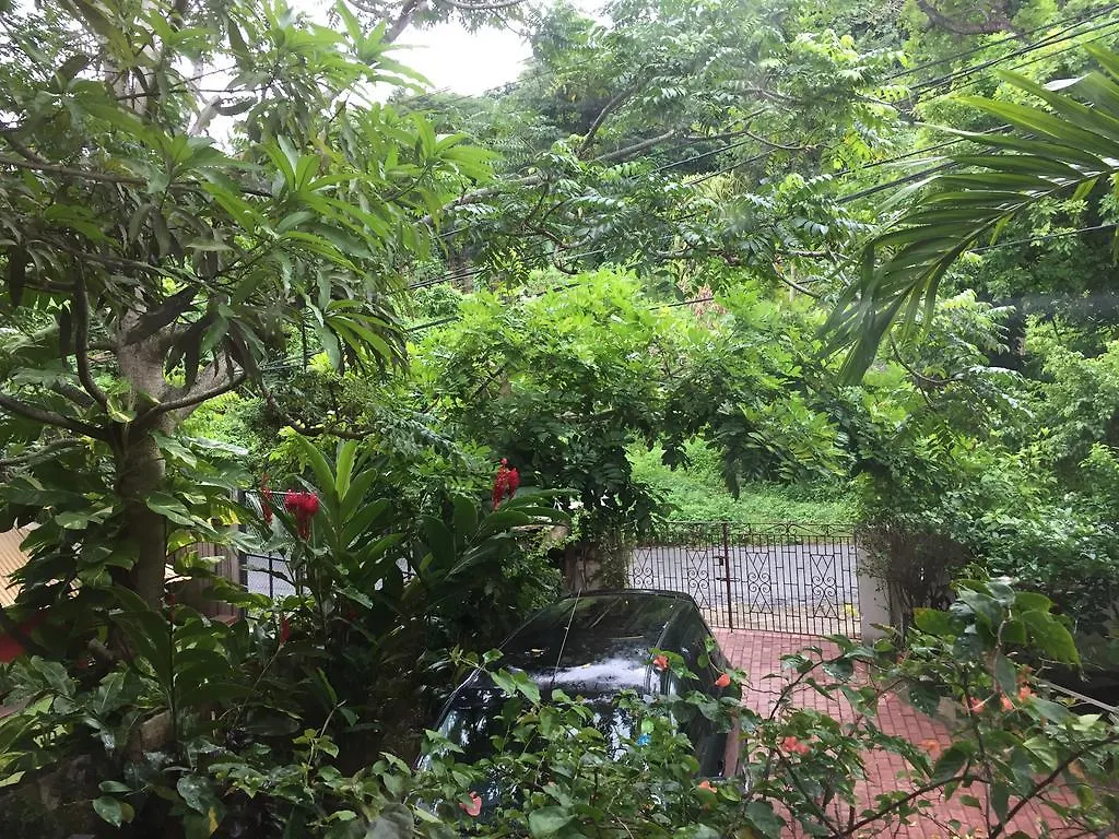 Drapers San Guest House Port Antonio 0*,  Jamaica
